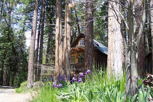 Sunset Inn Yosemite Cabins Visittuolumne Com